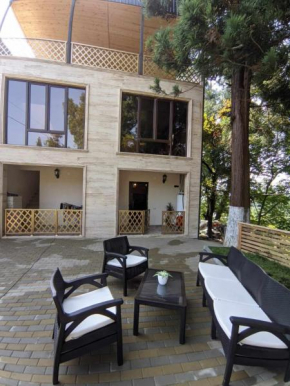 Natia's house